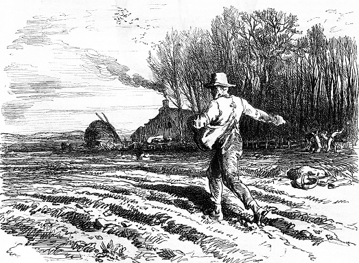 Farmer seed sowing_small.jpg