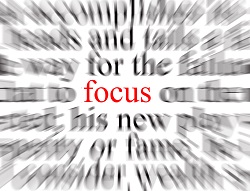 Focus_sm.jpg