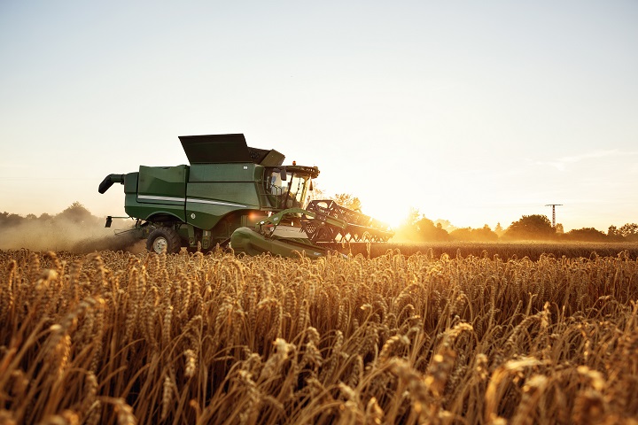 Harvest_small.jpg