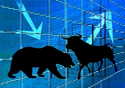 stock market bear bull_sm.jpg
