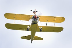 wing walker_sm.jpg